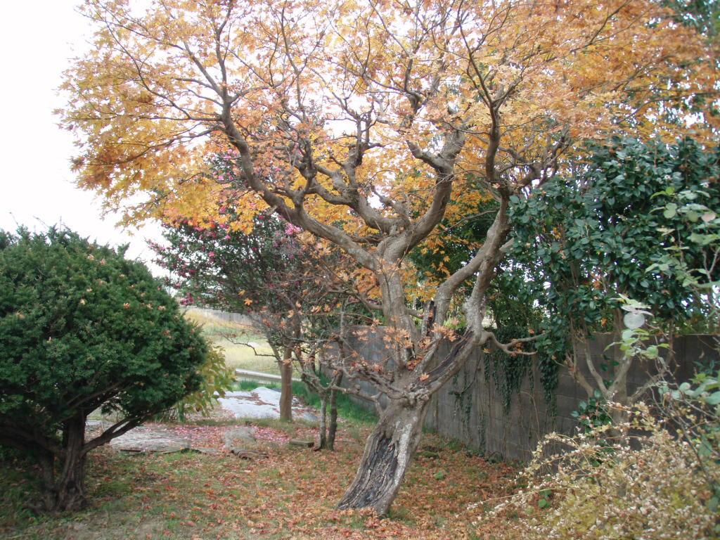 Guesthouse Hokkai Nanao Exterior foto